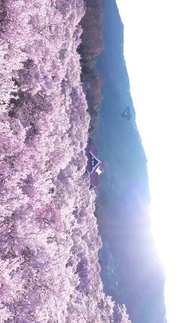 西秀区:乡村振兴绘新景 幸福生活当自来
