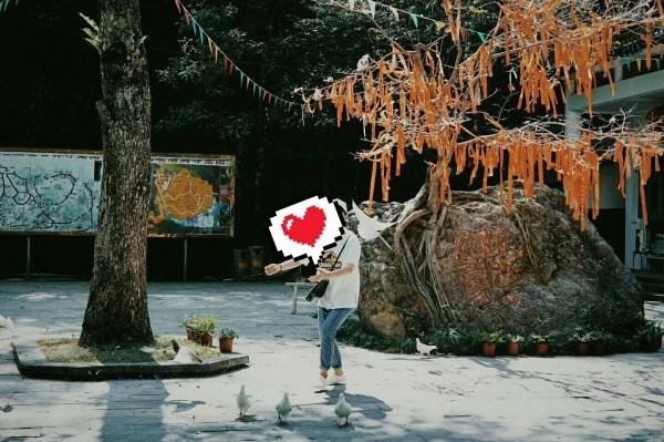 古墓丽影崛起