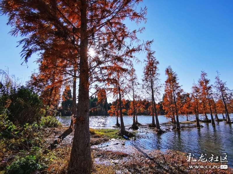 济南中医风湿病医院:专注痛风风湿专研诊疗 持续化愈后管理 多项帮扶举措就医放心