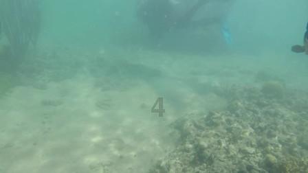 海口寒冷预警“橙变黄”！海南今日最低10℃，连续三天有雨……