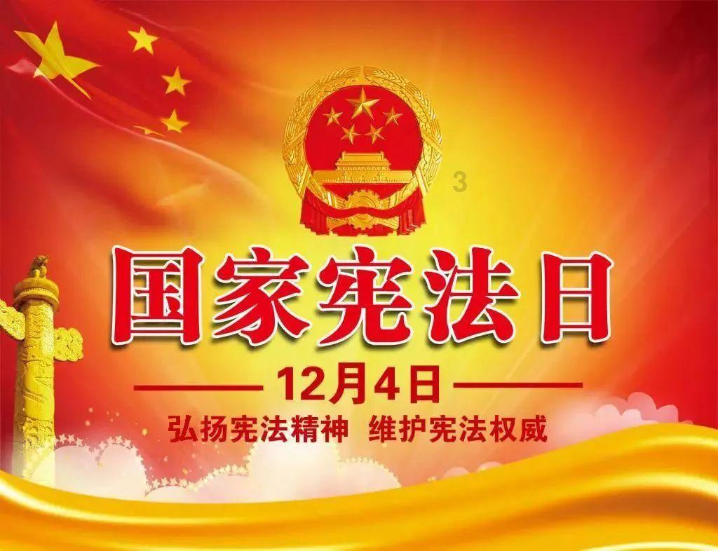 奥利维亚收养猫