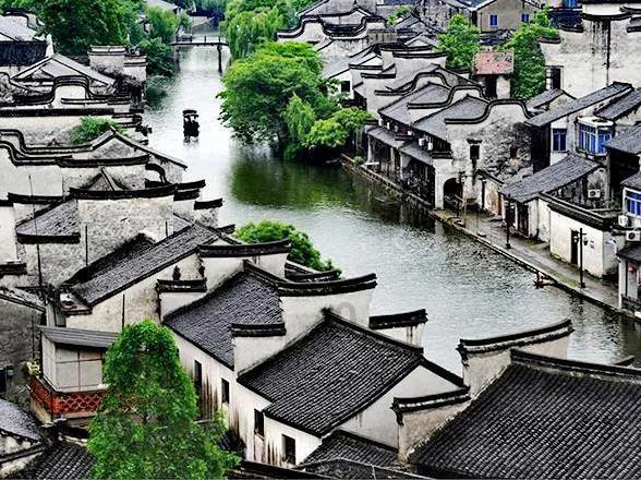 拯救铁笼中的小牛